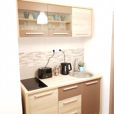 Apartment Central Сибиу Екстериор снимка
